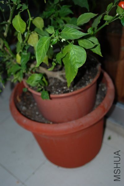 DSC_0152.jpg