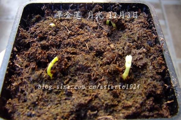 2012-1203(004)������ �¹�.jpg