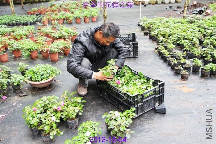 nEO_IMG_��Ƭ 058.jpg