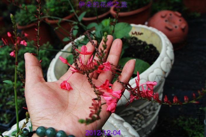 nEO_IMG_��Ƭ 055.jpg