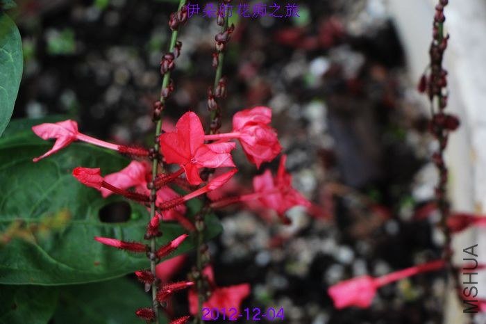 nEO_IMG_��Ƭ 056.jpg