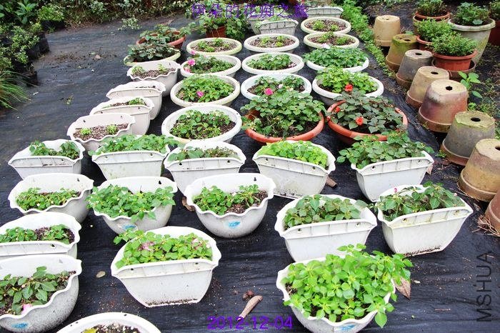 nEO_IMG_��Ƭ 057.jpg