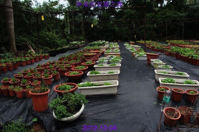 nEO_IMG_��Ƭ 052.jpg