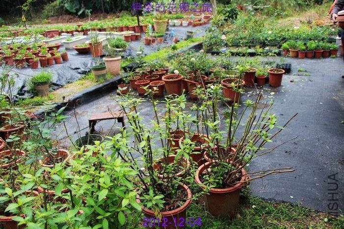 nEO_IMG_��Ƭ 059.jpg