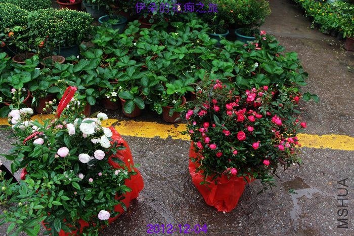 nEO_IMG_��Ƭ 067.jpg