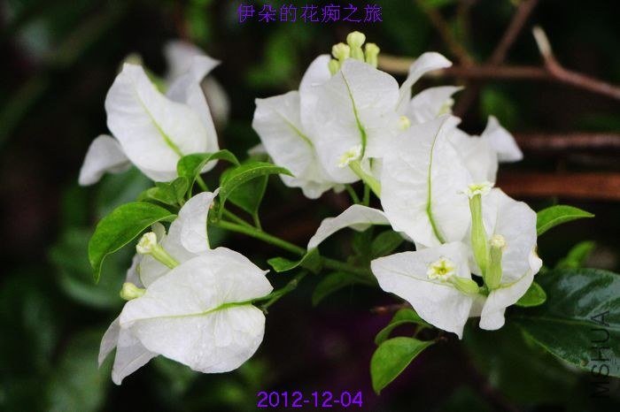 nEO_IMG_��Ƭ 066.jpg