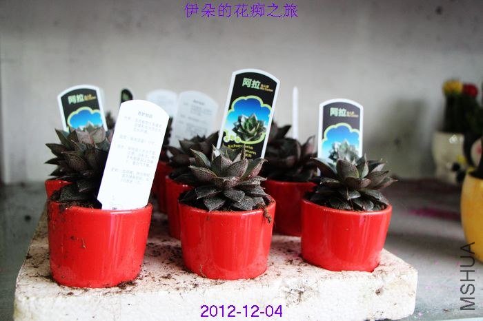 nEO_IMG_��Ƭ 060.jpg