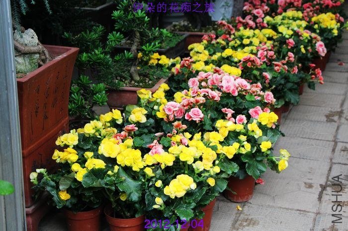 nEO_IMG_��Ƭ 064.jpg