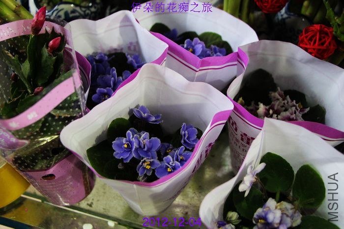 nEO_IMG_��Ƭ 061.jpg