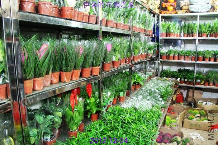 nEO_IMG_��Ƭ 062.jpg