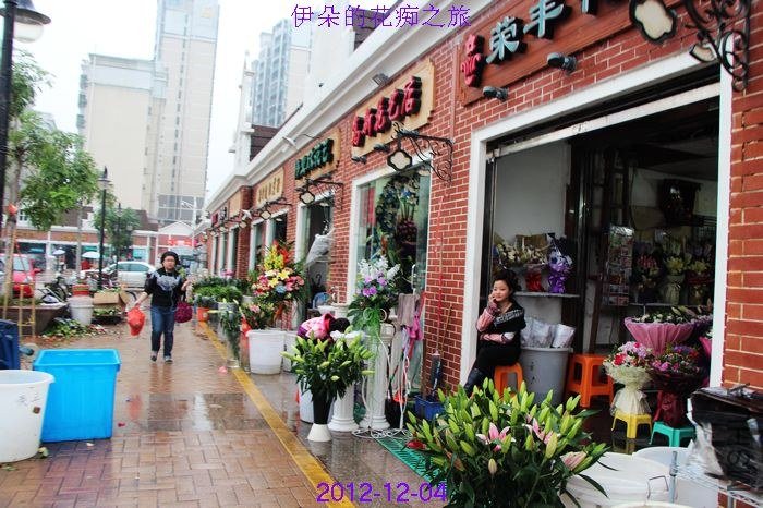 nEO_IMG_��Ƭ 063.jpg