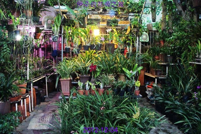 nEO_IMG_��Ƭ 068.jpg