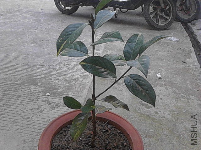 IMG_20121206_105814.jpg