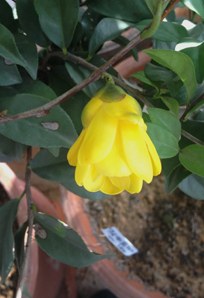 IMG_3991.JPG