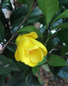 IMG_3992.JPG