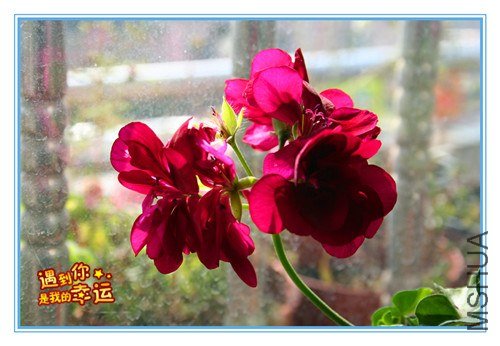 ��Ƭ 036_����.jpg