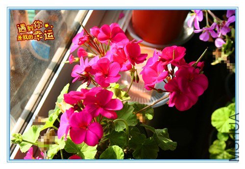 ��Ƭ 038_����.jpg