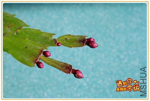 ��Ƭ 055_����.jpg