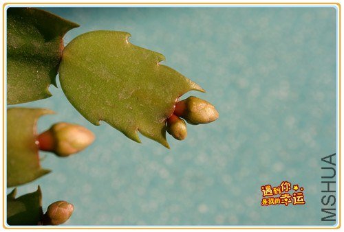 ��Ƭ 050_����.jpg