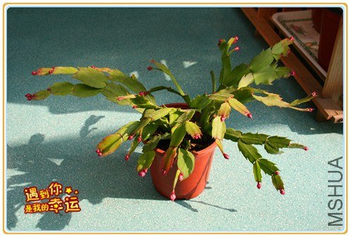 ��Ƭ 051_����.jpg