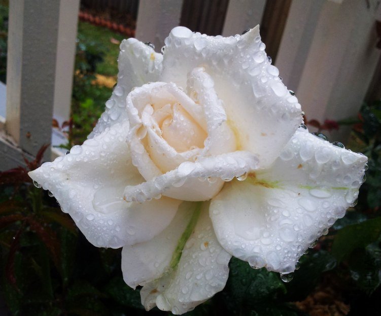 ddd.jpg