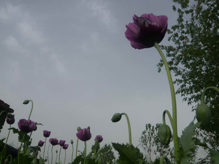 P1080369.JPG