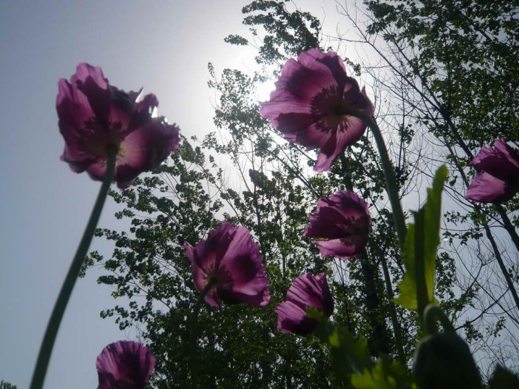 P1080399.JPG