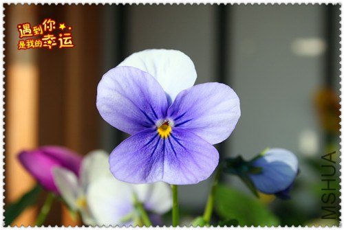 ��Ƭ 096_����.jpg