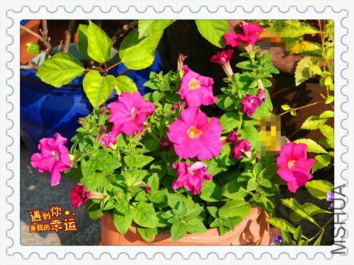 ��Ƭ 021_����.jpg