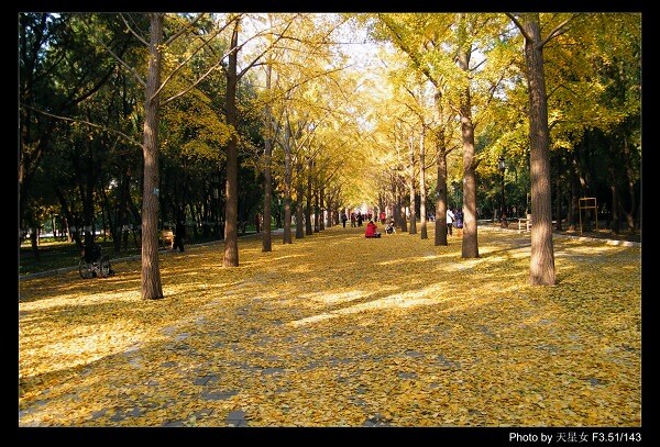 20121111 829.��600��150K���������.jpg