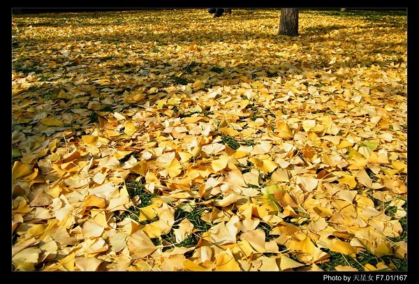 20121111 731.��600��150K���������.jpg