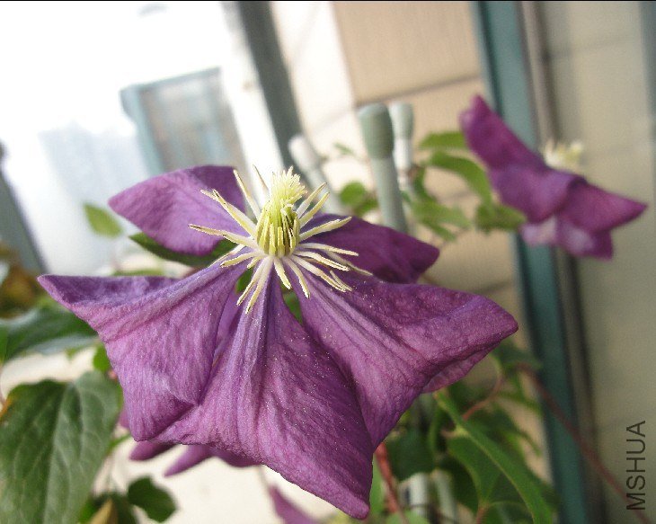 С��������֮��