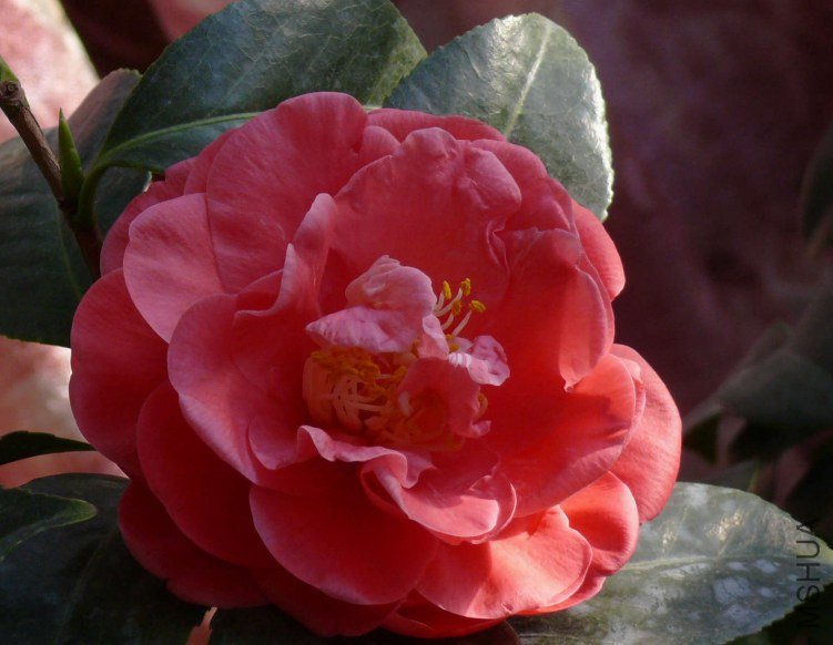 P1120195.JPG