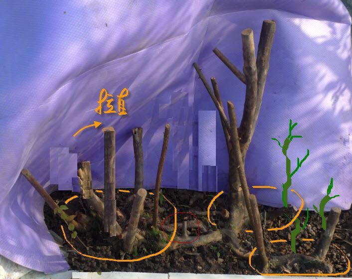 ���� 2012-12-7 ���� 20-47-03.jpg