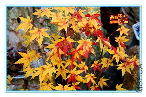 ��Ƭ 032_����.jpg