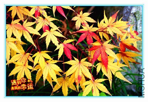 ��Ƭ 030_����.jpg