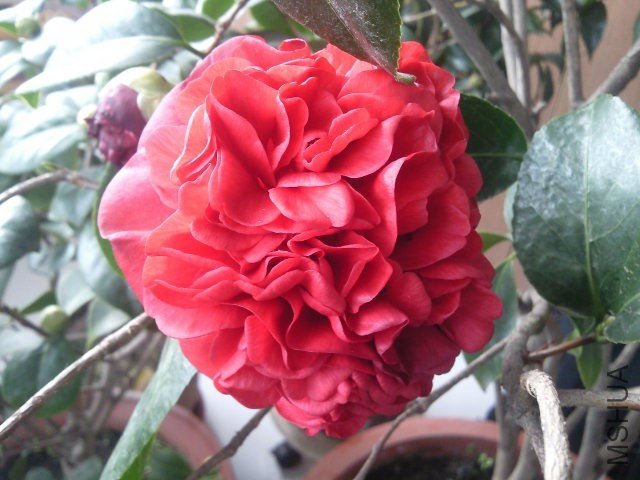��Ƭ144.jpg