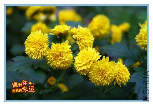 ��Ƭ 047_����.jpg