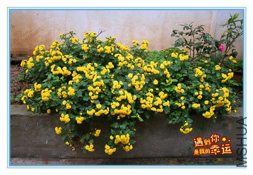 ��Ƭ 044_����.jpg