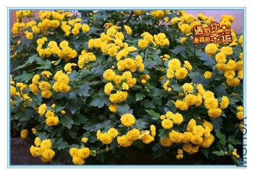 ��Ƭ 045_����.jpg