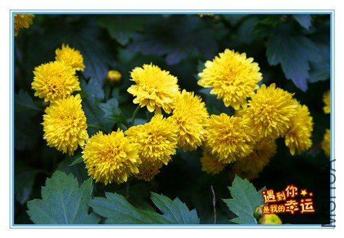 ��Ƭ 046_����.jpg