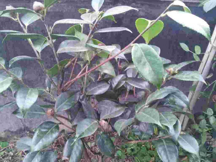20121209_165130.jpg