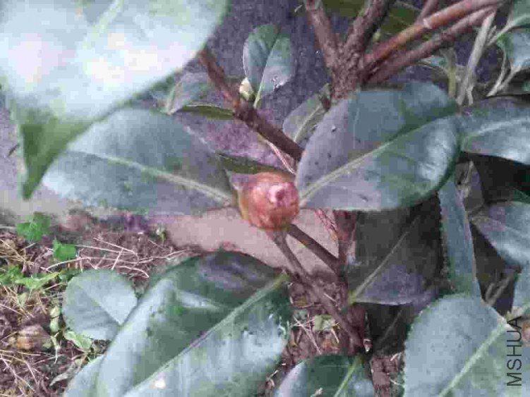 20121209_165150.jpg