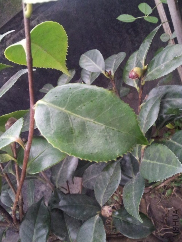 20121209_165141.jpg