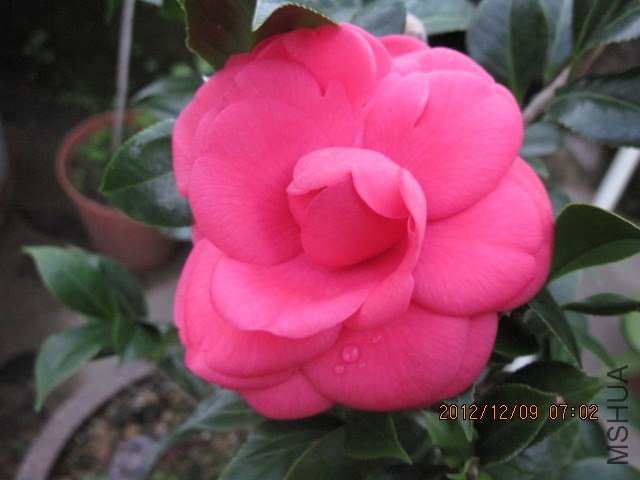 IMG_3852.jpg