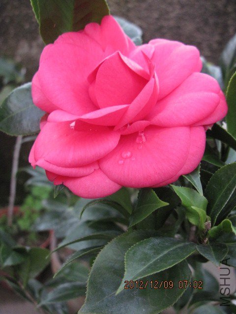 IMG_3853.jpg