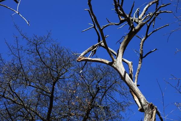 �����й� (11).JPG