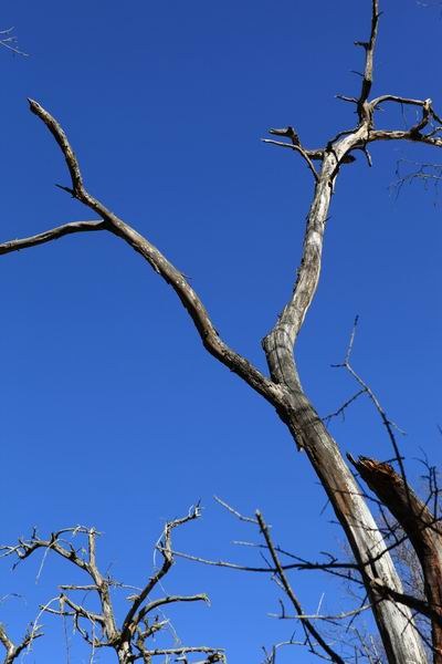 �����й� (12).JPG