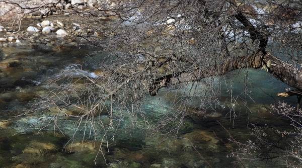 �����й� (13).JPG