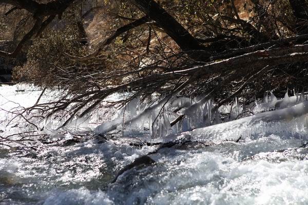 �����й� (14).JPG